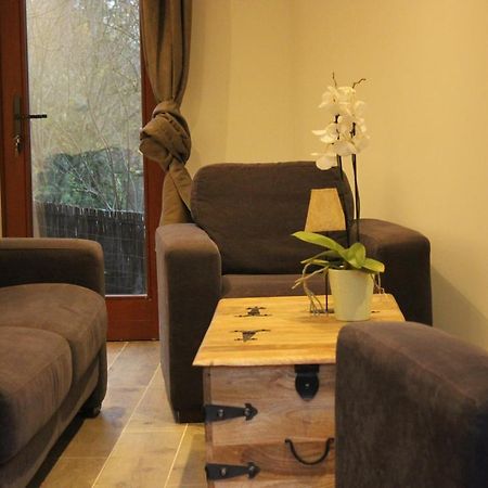 maison neuve en bois près de Pairy Daisa Brugelette Extérieur photo